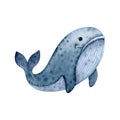 Cute whale-watercolor illustration isolated on white background Royalty Free Stock Photo