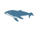 Cute whale on white background in cartoon flat style. Vector illustration Royalty Free Stock Photo