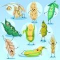Cute wheat, barley, bean, peas and corn characters set, cereals and legumes vector Illustrations