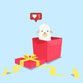 Cute white alpaca appear from the present box. Concept illustration of Birthday present