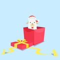 Cute white alpaca wearing santa hat and appear from the present box. Concept illustration of Christmas day