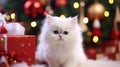 Cute white Angora kitty with Santa hat and christmass gifts at the bokeh background,copy space