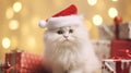 Cute white Angora kitty with Santa hat and christmass gifts at the bokeh background,copy space