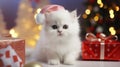 Cute white Angora kitty with Santa hat and christmass gifts at the bokeh background,copy space