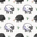 Cute white and black sheep in field cartoon seamless vector pattern. Hand drawn agriculture livestock. Farm animal with