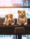 Cute white and brown dogs doll sit on counter near large glass window in coffee shop. Lovely animal toys decoration in cafe. Royalty Free Stock Photo