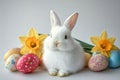 Cute White Bunny, Colorful Easter Eggs, and Yellow Daffodils A Festive Spring Celebration Royalty Free Stock Photo