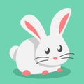 cute white bunny. rabbit in flat cartoon style. graphic vector illustration. Royalty Free Stock Photo