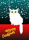 Cute white cat on a christmas background.