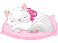 Cute white cat Royalty Free Stock Photo