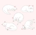 Cute white cat lies in different positions. Set of cat positions. Cat posing. Cats. Sketch