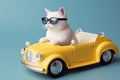 Cute white cat wearing stylish sunglasses and driving yellow toy car over blue background studio shot Royalty Free Stock Photo