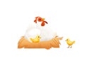 Cute white chicken with chicks sitting in nest farm agriculture hen rooster cartoon animal design vector illustration Royalty Free Stock Photo