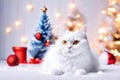 Cute white christmas cat on snow, blue christmas tree and gifts Royalty Free Stock Photo