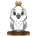 Cute white cockatoo cartoon on white background Royalty Free Stock Photo