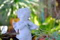 A cute white cupid sculpture playing a violin and staring in a green garden