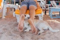 Dog playing with legs of a man laying on the sunbed. Dog trying to bite the feet of a man on the beach