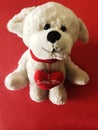 Cute white dog, puppy with a I Love You message on the red background