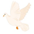 Cute white dove Peace symbol Vector Royalty Free Stock Photo