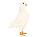 Cute white dove Peace symbol Vector Royalty Free Stock Photo