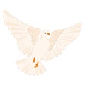 Cute white dove Peace symbol Vector Royalty Free Stock Photo