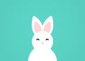 Cute white Easter bunny. Baby rabbit Royalty Free Stock Photo