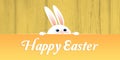 Cute White Easter Bunny looking over the fence with Happy Easter Lettering