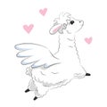 Cute white fluffy llama flying with pegasus wings surrounded by pink hearts. Hand drawn animal for greeting card wall