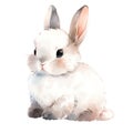 Cute white furry bunny isolated illustration. Watercolor fluffy rabbit