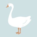 Cute White Goose cartoon Vector Illustration. Nursery design element Royalty Free Stock Photo