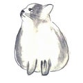 Cute white-gray cat. Watercolor kids illustration with domestic