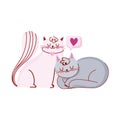 Cute white and gray cats pets domestic cartoon love