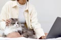 Cute white gray Persian cat comfortably sitting on laptop keyboard, owner woman working on computer with her happy fluffy Royalty Free Stock Photo