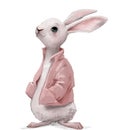 cute white hare character with pink jacket