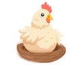 a cute white hen sits in a nest and waits for chicks. incubate bird eggs. Royalty Free Stock Photo