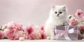 Cute white kitten with gift box and pink flowers. Copy space. Feminine holiday banner background. AI Royalty Free Stock Photo
