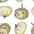 Cute white knucklehead pumpkins cartoon seamless pattern. Fall decoration white background texture tile Royalty Free Stock Photo