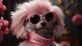 Cute white lapdog with a bow and glasses on a pink background