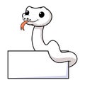 Cute white leucistic ball python snake cartoon with blank sign