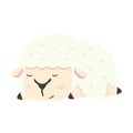 Cute white little sheep sleep cartoon