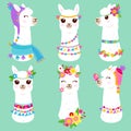 Cute white llama or alpacas. Vector illustration Royalty Free Stock Photo