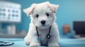 A cute white longhair puppy is waiting to be treated on an examination table in an animal hospital. A close-up realistic picture