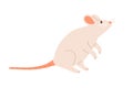 Cute white mouse standing on back paws and sniffing. Rat with long tail and little ears. Childish animal character