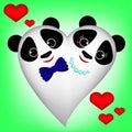 Cute white Panda-Heart on green background, boy and girl Royalty Free Stock Photo