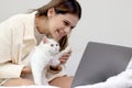 Cute white Persian cat comfortably sitting on laptop keyboard, owner woman working on computer with her happy fluffy comfortably Royalty Free Stock Photo