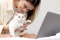 Cute white Persian cat comfortably sitting on laptop keyboard, owner woman working on computer with her happy fluffy comfortably Royalty Free Stock Photo