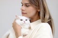 Cute white Persian cat in owner lap hand, happy fluffy pet comfortably being hugged with gently and love feeling by happy owner.