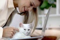 Cute white Persian cat sitting on laptop keyboard, owner woman working on computer with her happy fluffy comfortably pet, girl Royalty Free Stock Photo