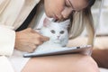 Cute white Persian cat sitting on laptop keyboard, owner woman working on computer with her happy fluffy comfortably pet, girl Royalty Free Stock Photo