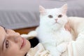 Cute white Persian cat sitting on owner woman, happy fluffy pet comfortably sitting on chest of female who lying on sofa in living